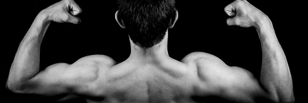 Muskeln richtig aufbauen – bringen Sie Ihren Körper in Form