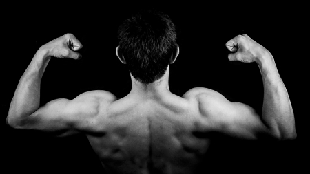 Muskeln richtig aufbauen – bringen Sie Ihren Körper in Form